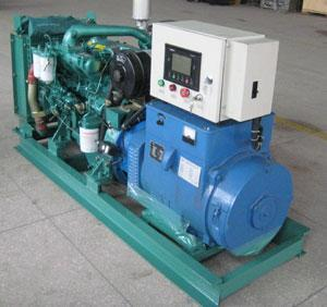 岳池发电机出租